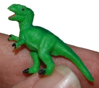 Tyrannosaurus mini, tiny Trex models