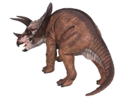 Triceratops Baby Model nearly 3 feet long