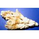 Aragonite Crystals