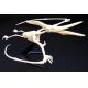 PteranodonTest-Tube Skeleton 11 Piece Kit