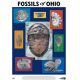 Fossils of Ohio, poster