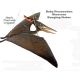 Pterosaur, Pteranodon 5 Foot Wingspan Hanging Model