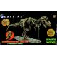 3D Tyrannosaurus rex Skeleton Kit With 60 Pieces