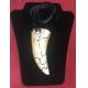 5.5 Inch Tyrannosaurus rex Tooth necklace pendant