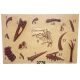 4x6 Foot Fossil Dig Panels 4 Different Ones Sold Separately