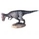 Pachycephalosaurus Model by Dinostoreus 25% OFF