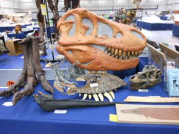 2022 Morgantown Gem, Mineral & Fossil Show, August 27-28, 2022