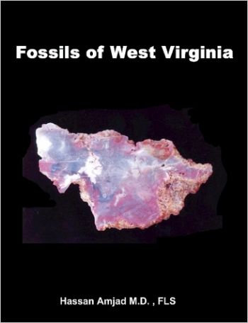 Fossils of West Virginia, 2 Volume Set, color version