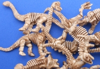 12 Mini Dinosaur Skeletons