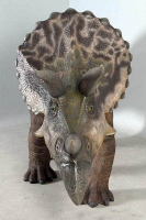 Triceratops Statue Model 14 Foot Life-Size, Life-Like RENTAL