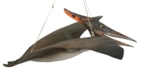 Pterosaur, Pteranodon 5 Foot Wingspan Hanging Model