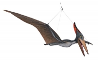 Pterosaur, Pteranodon 5 Foot Wingspan Hanging Model