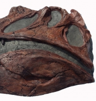 Spinosaurus Skull, Life-Size Wall Relief Sculpture