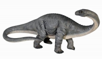 Apatosaurus Baby Model over 4 feet long