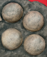 Saltasaurus Sauropod Dinosaur 9 Egg Nest