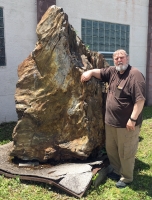 Giant Fossil Petrified Wood Tree Trunk