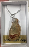 Authentic Dinosaur Coprolite Pendant