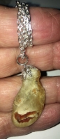 Authentic Dinosaur Coprolite Pendant