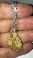 Authentic Dinosaur Coprolite Pendant