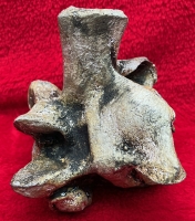 Titanoboa cerrejonensis Vertebra Reconstruction