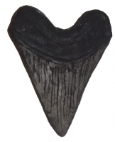 Megalodon Tooth (giant 17 inch sculpture) Otodus megalodon